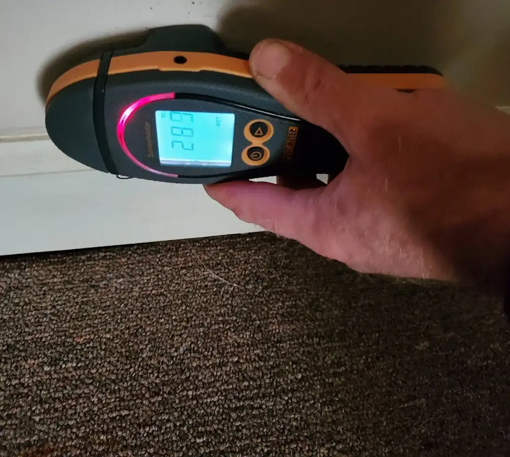 Moisture detection at baseboard during Sewage Cleanup & Sanitation in Lowell